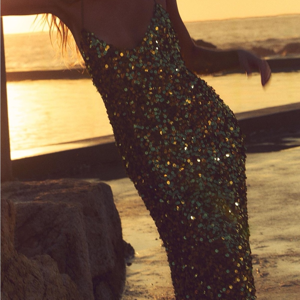 Zara Sequin Midi Dress